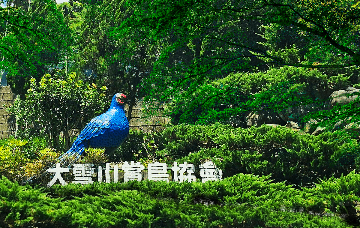 大雪山賞鳥協會 大雪山賞鳥協會